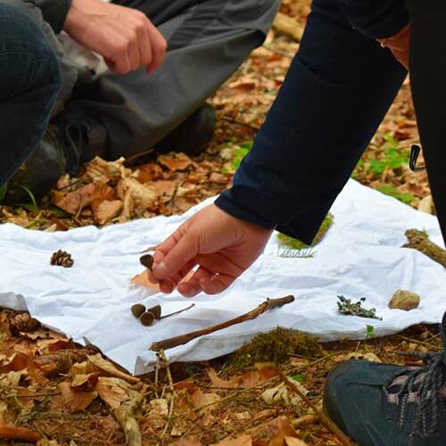 Moins c’est plus – Jeux en forêt avec peu de matériel