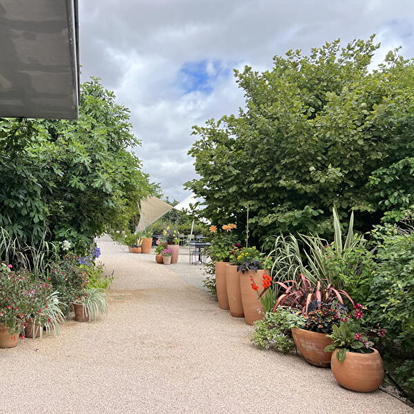 Stage - Jardin de pots